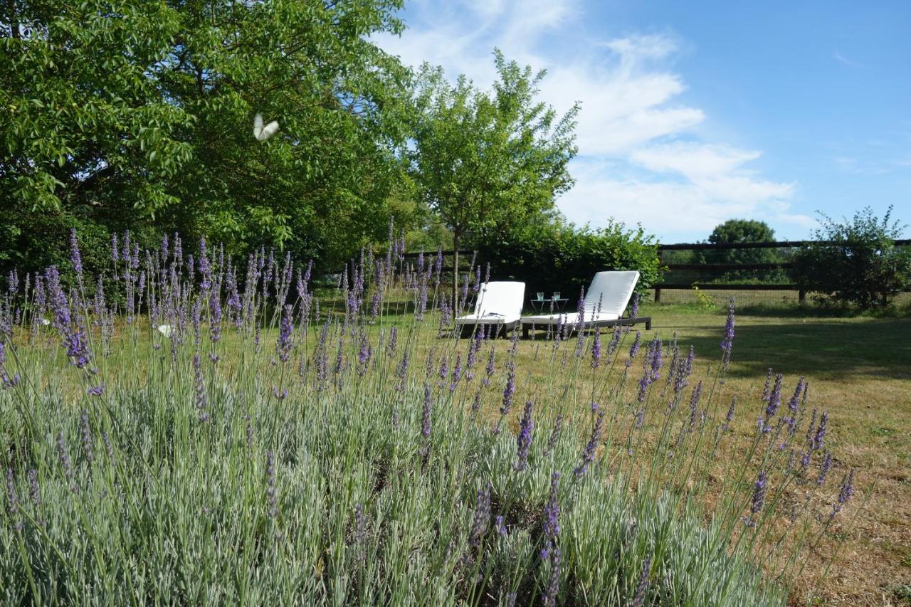 Le Cottage Du Coudray, Gite Avec Chalet Sauna La Fresnaie-Fayel Kültér fotó