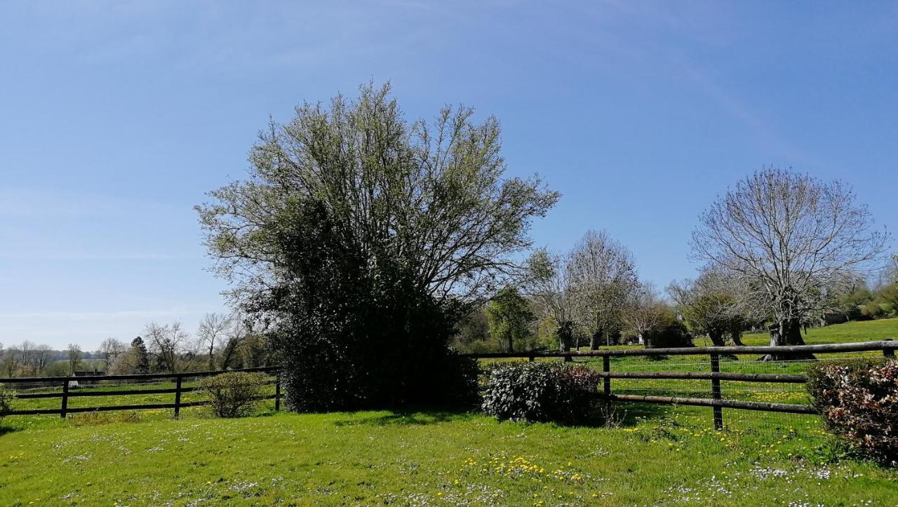 Le Cottage Du Coudray, Gite Avec Chalet Sauna La Fresnaie-Fayel Kültér fotó